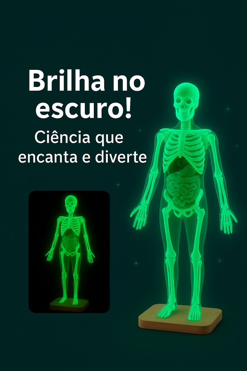 Modelo Científico 3D Corpo Humano