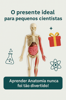 Modelo Científico 3D Corpo Humano