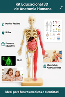 Modelo Científico 3D Corpo Humano