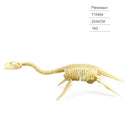 Kit de Arqueologia Infantil - 12 Esqueletos de Dinossauros Jurássicos