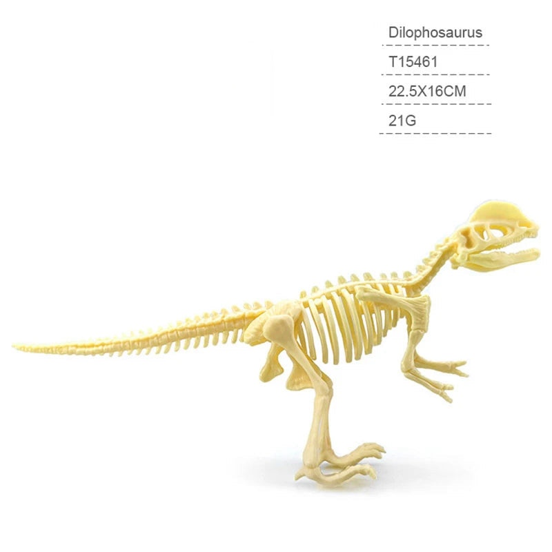 Kit de Arqueologia Infantil - 12 Esqueletos de Dinossauros Jurássicos