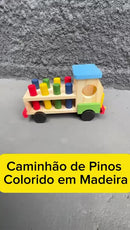 Caminhão de Pinos